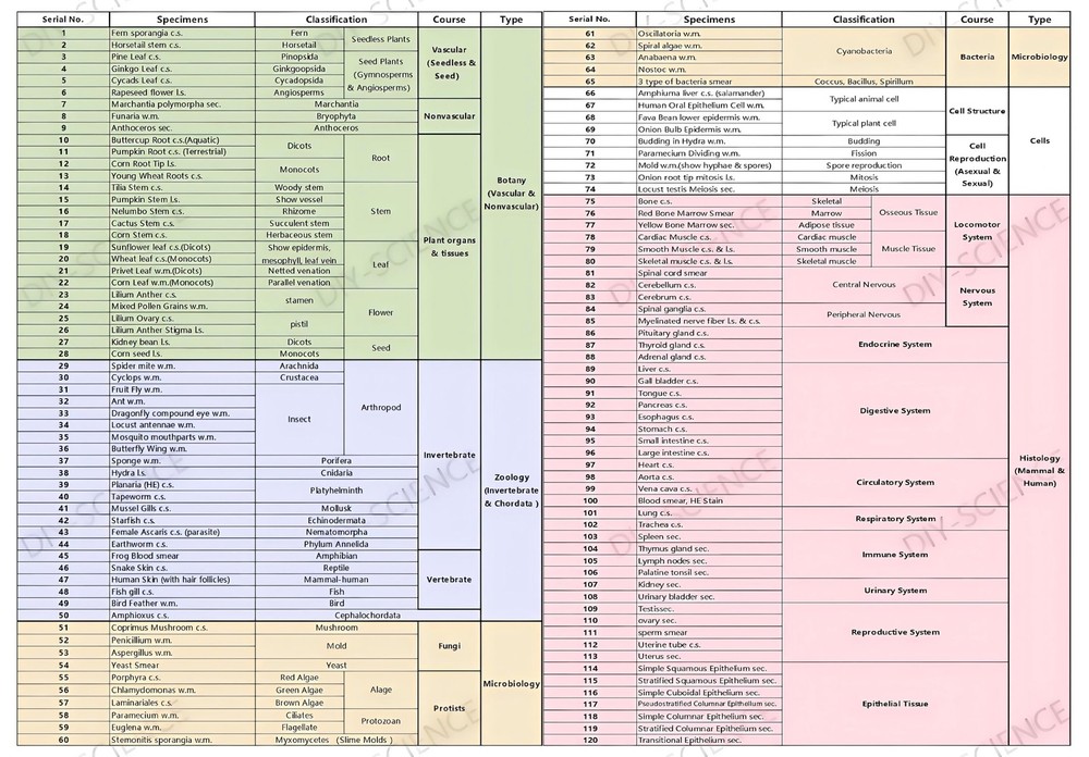 120 Microscope Slides with Specimens Set, Lab-Prepared Microscope Slides for ...