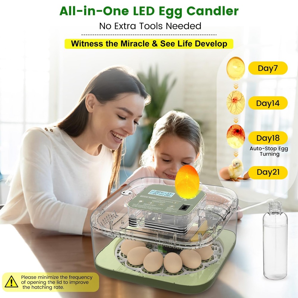 Auto Egg Incubator with Humidity Control & Hatching Guide for Various Eggs