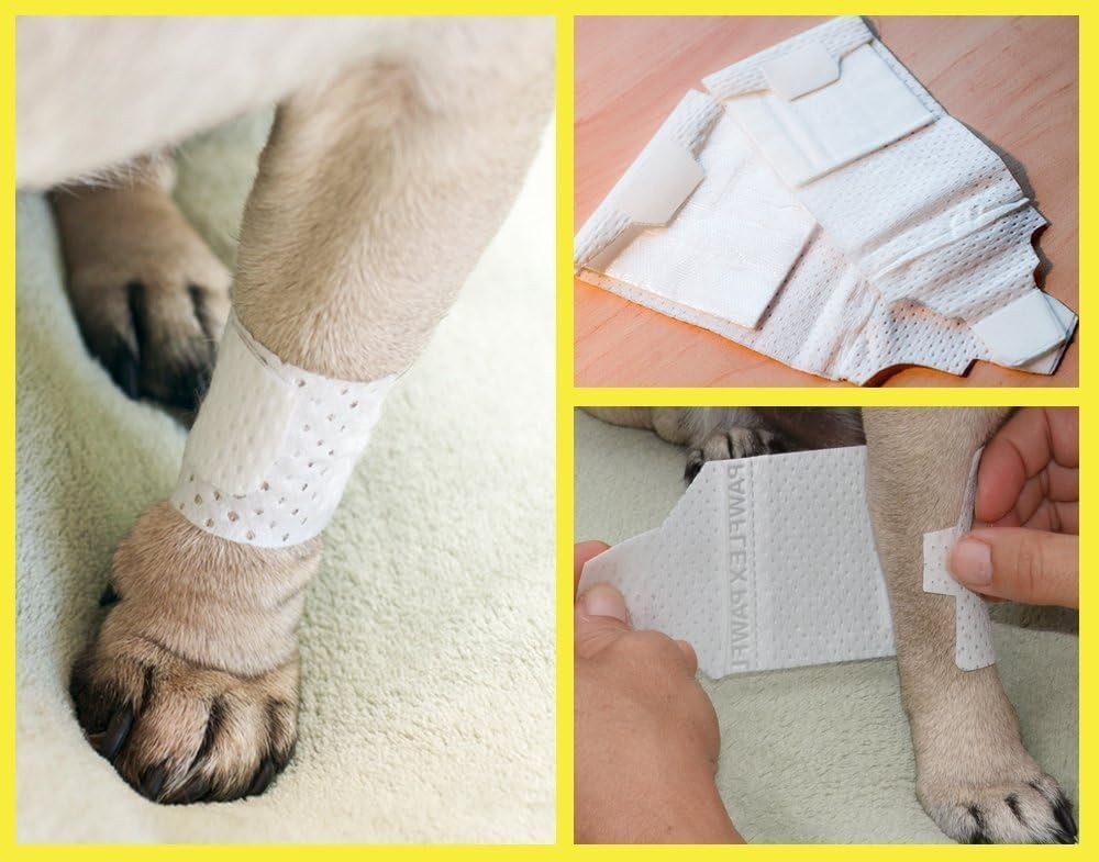 PawFlex Basic Pet Leg Bandages - Non-Adhesive, Adjustable, Non-Slip First Aid