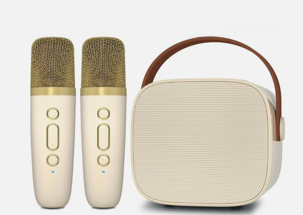 Mini Karaoke Machine with 2 Wireless Microphones & Portable Bluetooth Speaker