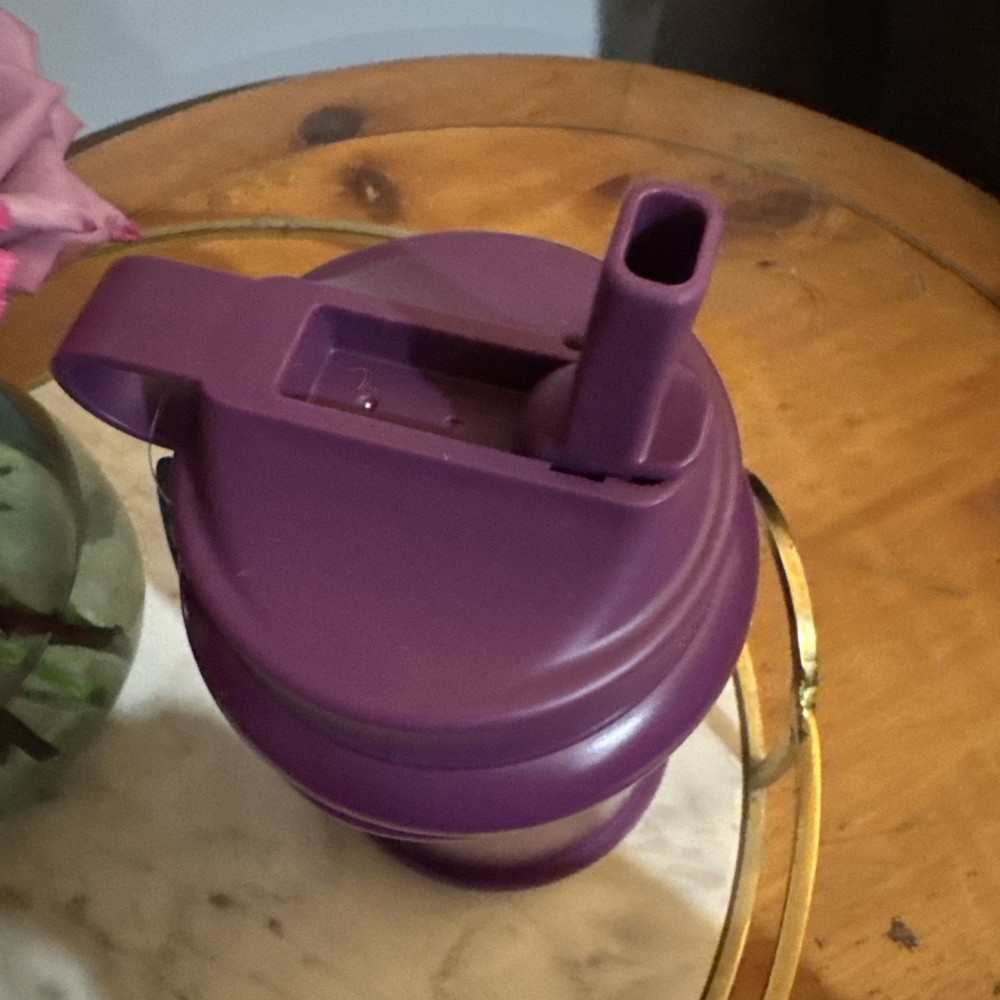 Hydrojug 32oz Purple NWT Mini Size Handle