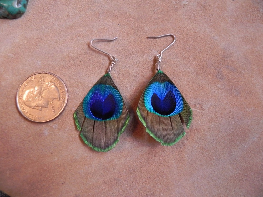 Strut~Oval Shaped PEACOCK FEATHER Earrings-NEW