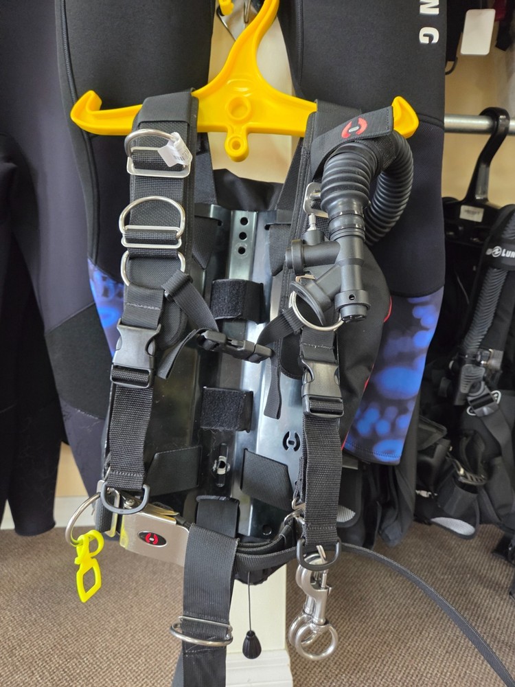 Hollis Back Plate and Wing Small