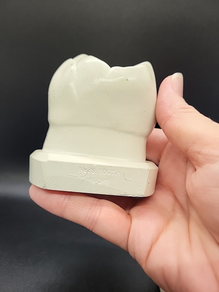 Two Weird Tooth Models 1970's