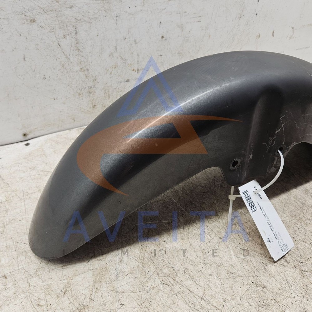 DAELIM VL 125 DAYSTAR 2014 Front Mudguard