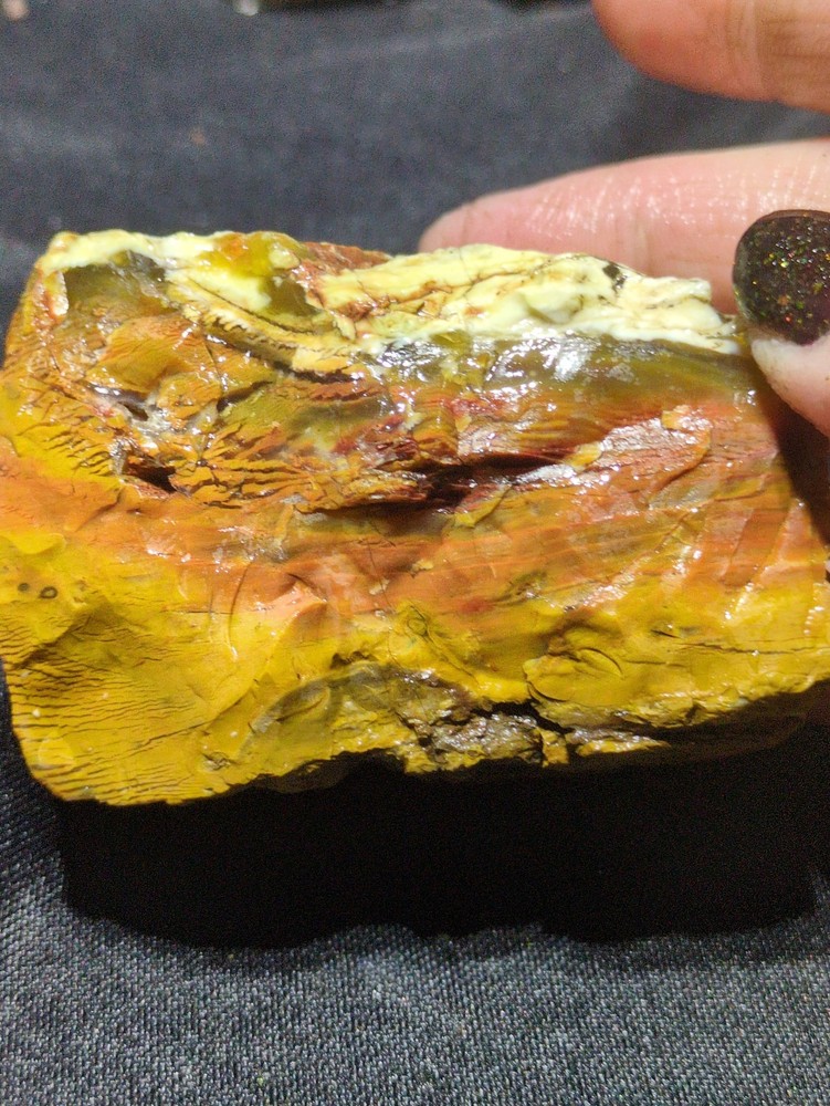 Opalized Wood Unique Banding Specimen Natural Form (10oz)