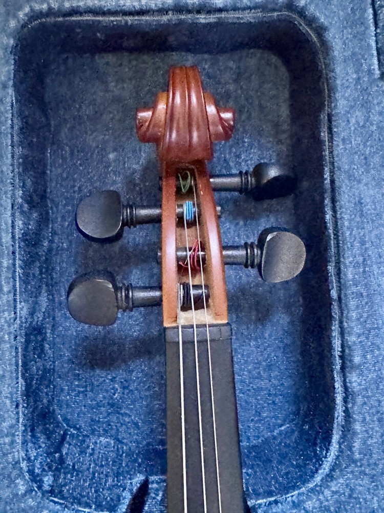 Mendini by Cecilio Violin