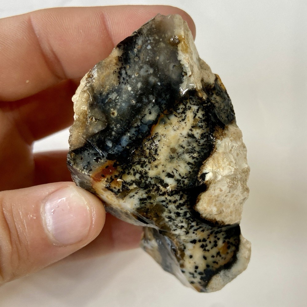 Natural Dendritic Opal Stunning Rough Stone 7.67 Oz!