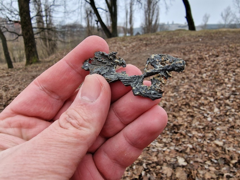 WW2 Original German Badges Front Item Relic.