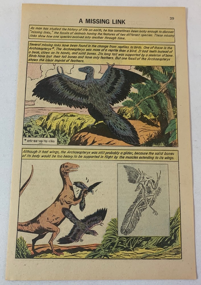 1962 cartoon page ~ A MISSING LINK ~ Archaeopteryx