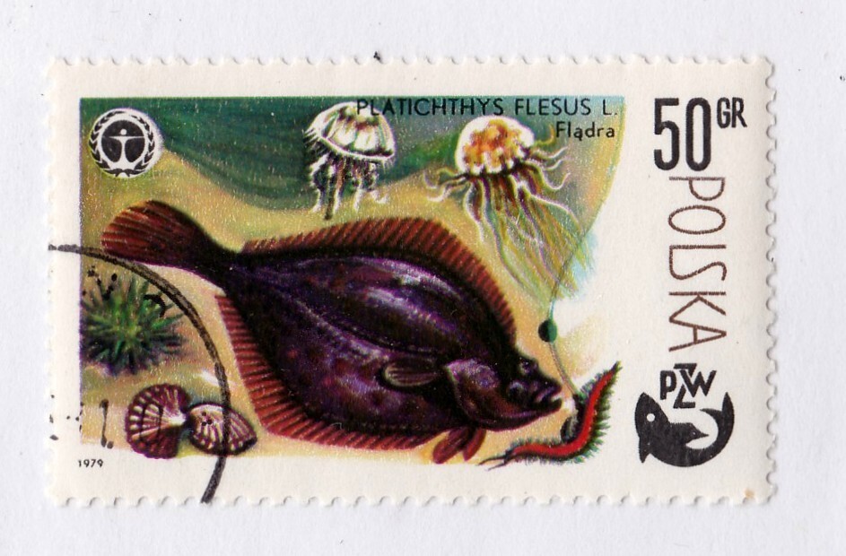 Poland     2327       used