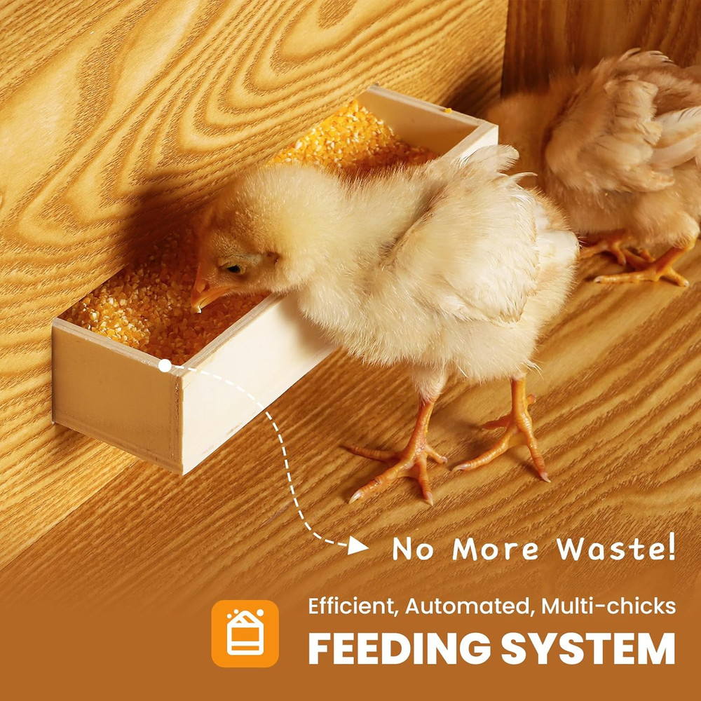 Brooder for Chicks, 32" Chicken Brooder with Feeding & Watering System, Upgrade