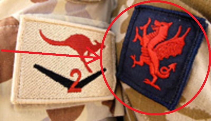 JSOC ELITE SEAL SPECIAL WARFARE DEVGRU OPERATOR hook/loop SSI: DEVGRU Red Team