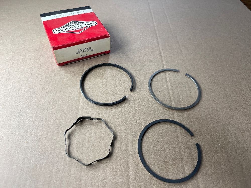 Briggs & Stratton 391669 RING PISTON KIT