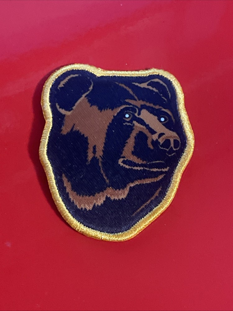 Boston Bruins Bear Head Logo Patch Embroidered 2” Iron On