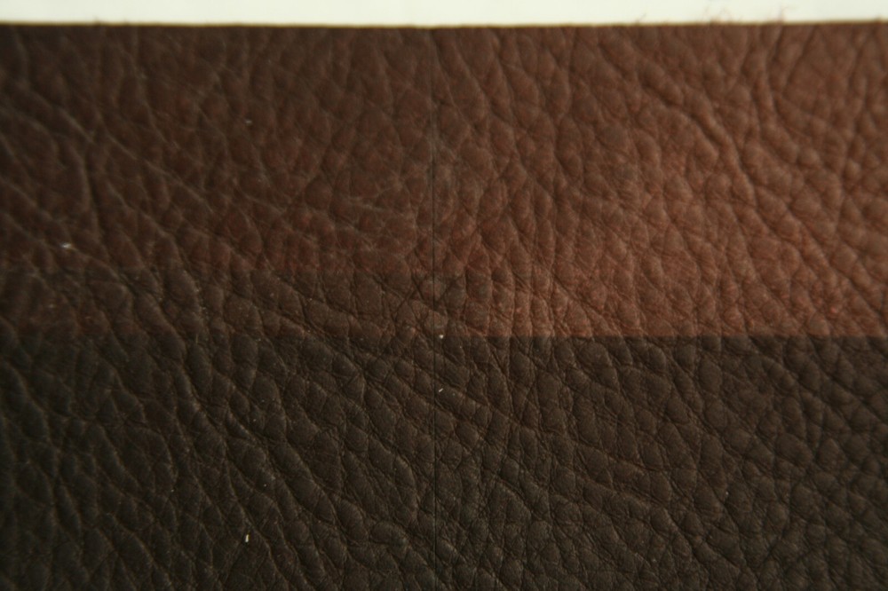 Voigt Leather Shield