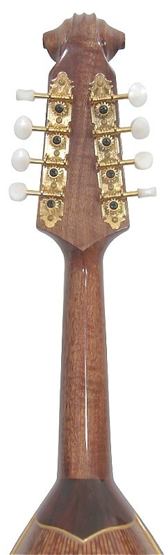 Bowl Back Mandolin Solid Spruce top solid curl Maple back Violin head NBMI