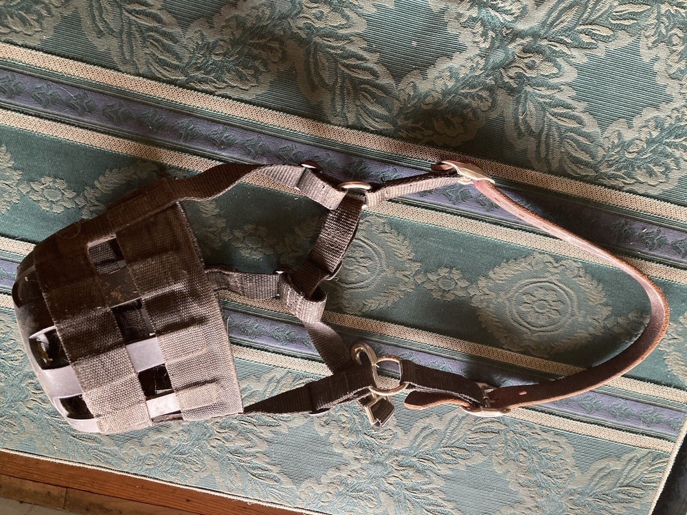 DA brand safety pony grazing muzzle