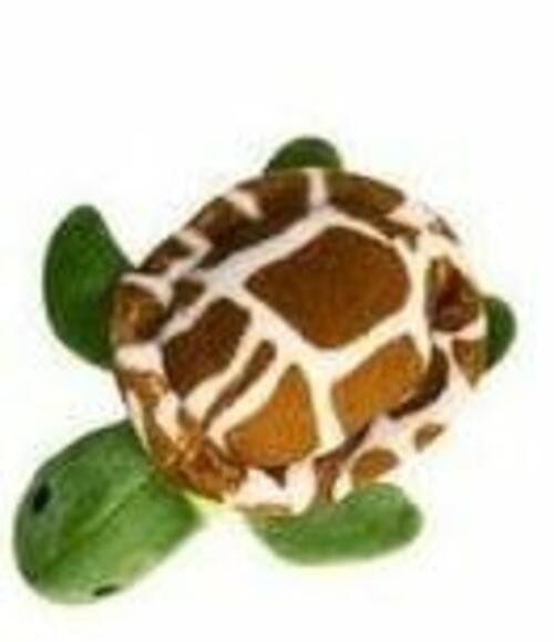SNUGAROOZ Baby Shelldon 5"