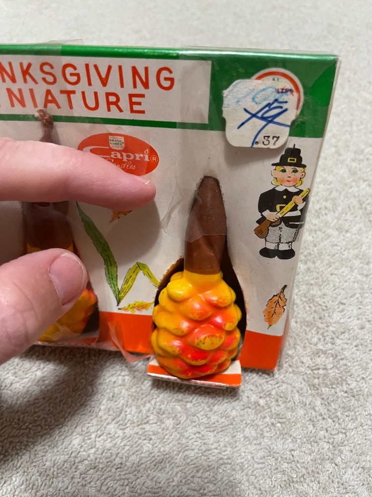 Capri Thanksgiving Mini Orange Pine Cone Base Brown in Package Set of 2 Opened