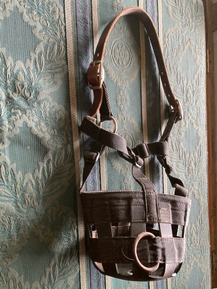 DA brand safety pony grazing muzzle