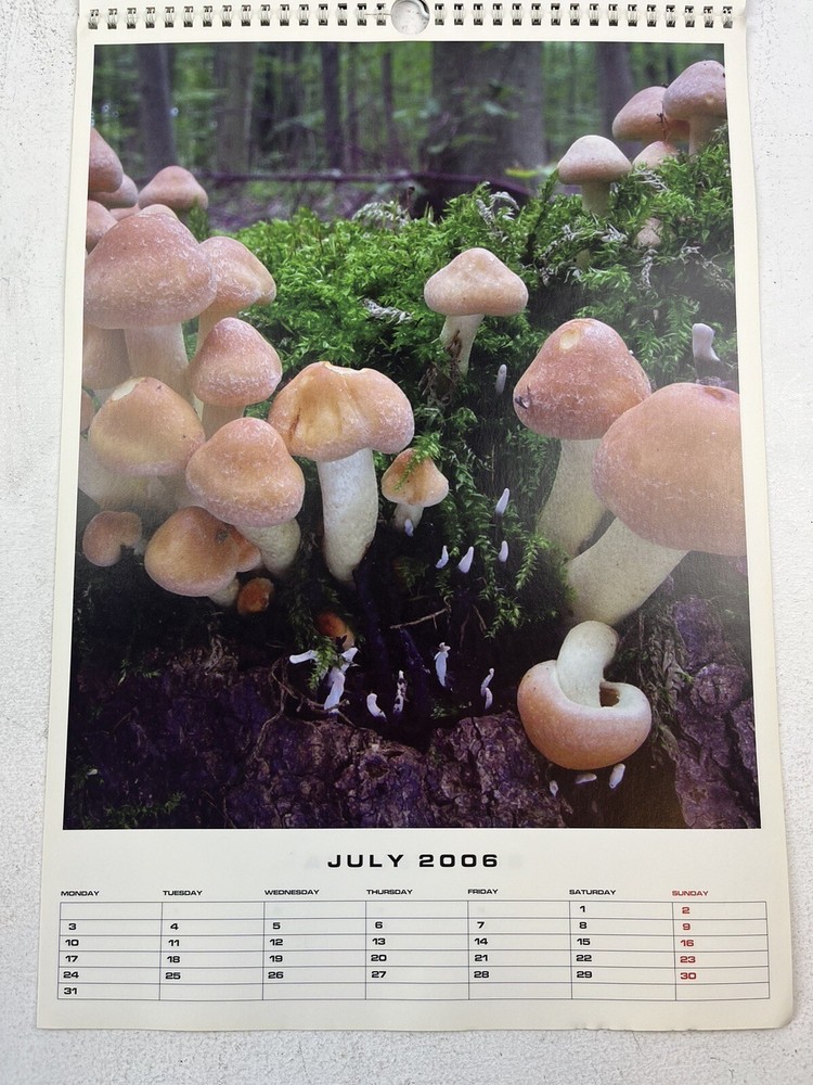 Magic Mushroom 2006 Popkorn Calendar