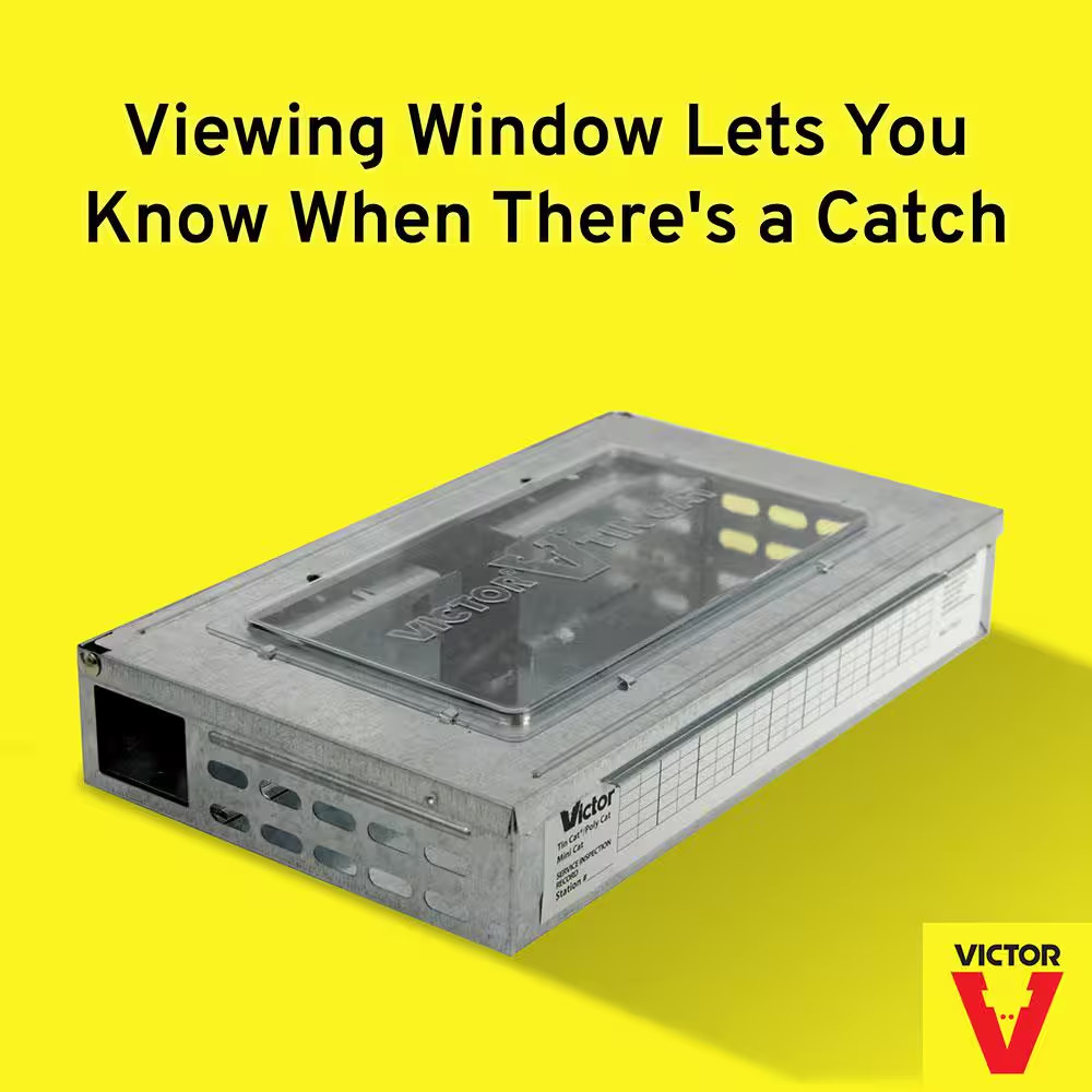 Tin Cat Mouse Trap with See Thru Lid (12-Pack)