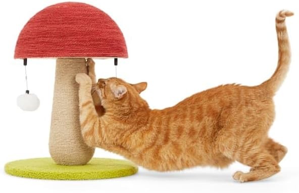 EveryYay by Petco Toadstool Scratch Post for Cats