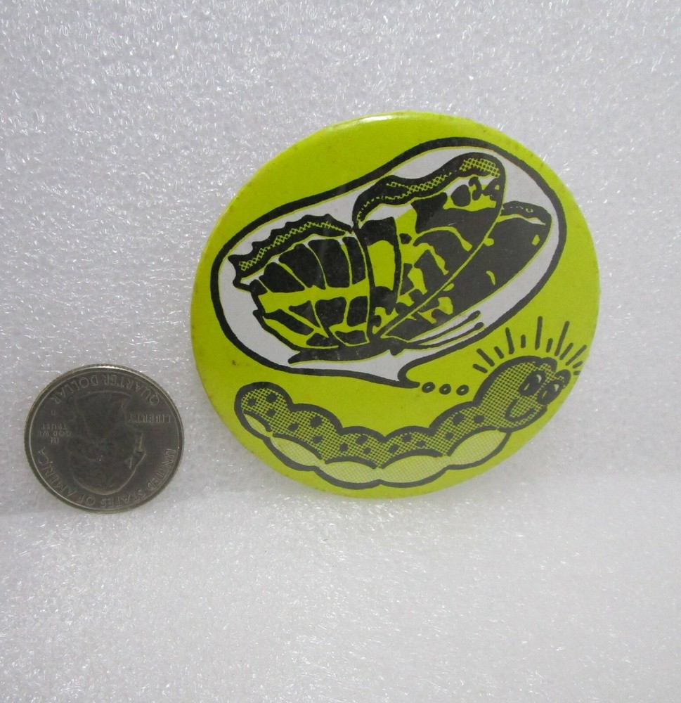 Caterpillar - Butterfly Button Pin