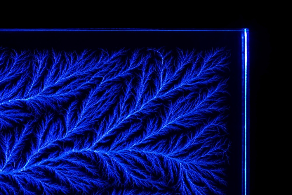 4" x 4" x 1" Captured Lightning Lichtenberg Figure Tree & Walnut Lighted Base