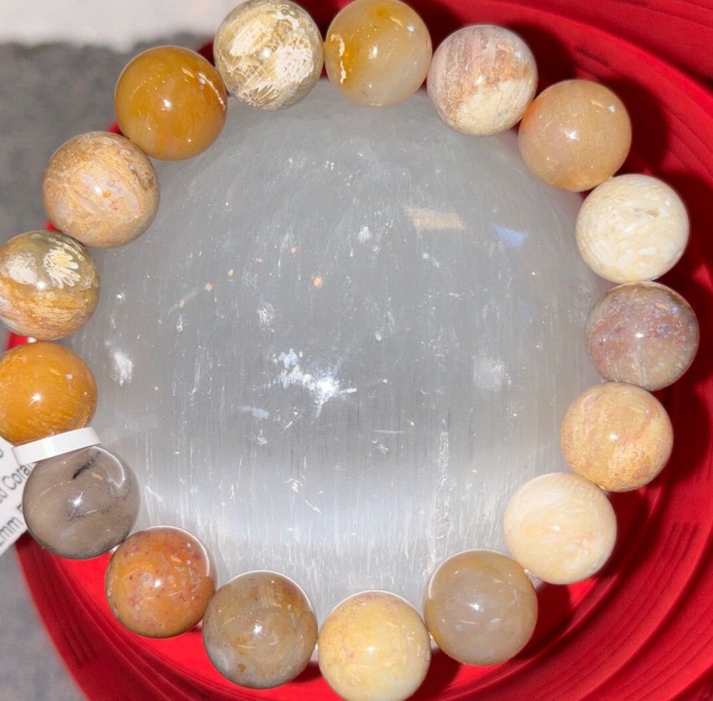 Fossilized Coral Bracelet 12 mm