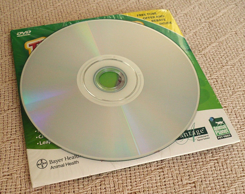 CAT SITTER DVD with CARE AND FEEDING DVD - MINT!