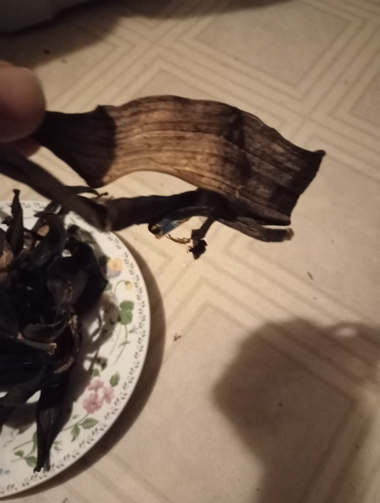 Dried Bannana Peels