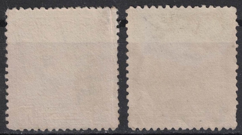 CHINA:1923 SC#249,253 Used Junk AA
