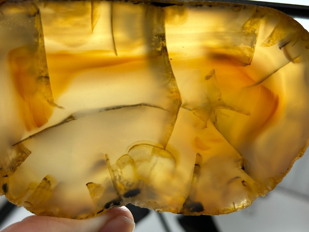 Thick Montana Agate slab Cabbing Lapidary Collecting Combo Ship avail