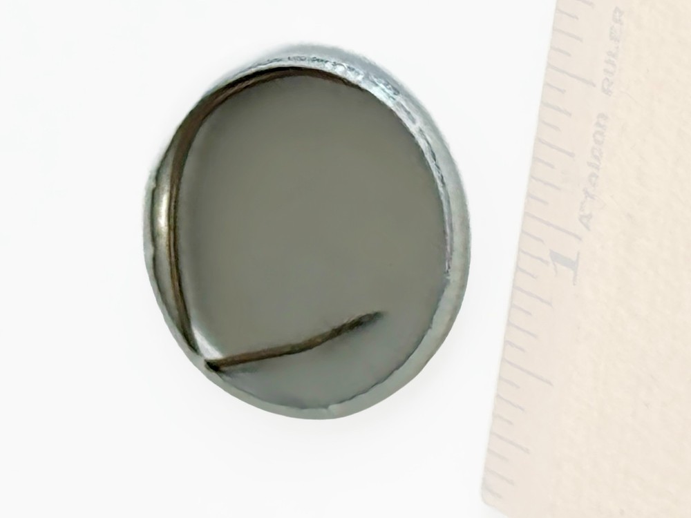 Use It Before You Lose It Pinback Button approx. 1 Inch JAPAN