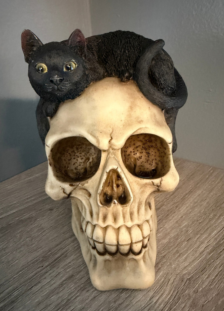 Ebros Witching Hour Black Mystical Cat Perching On Skull Macabre Figurine