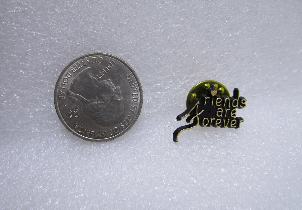 Friends Are Forever Plastic Pin