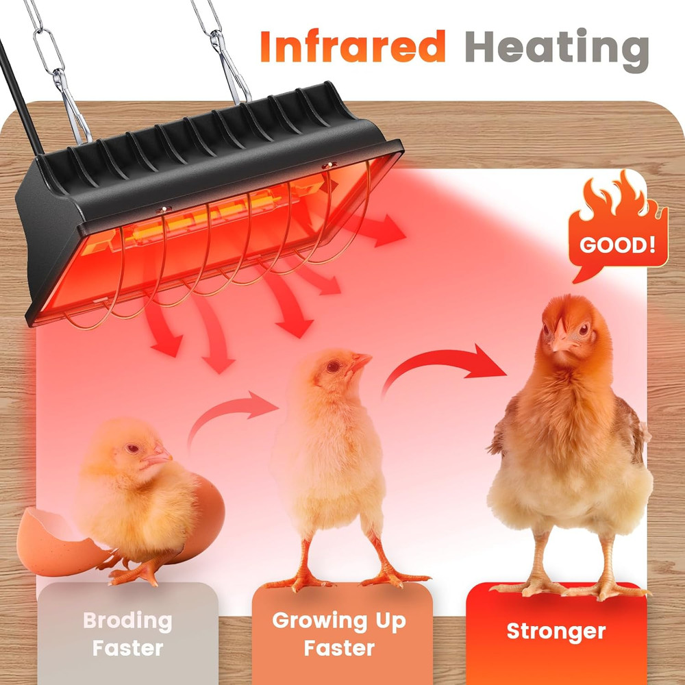 250W Brooder Heater for 30 Chicks, Chicken Coop Heating Lamp Brooder