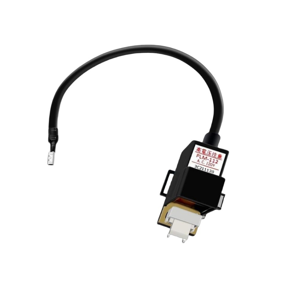 TRTG20235C Tankless Gas Water Heater Ignitor Coil for Richmond Ruud Rheem