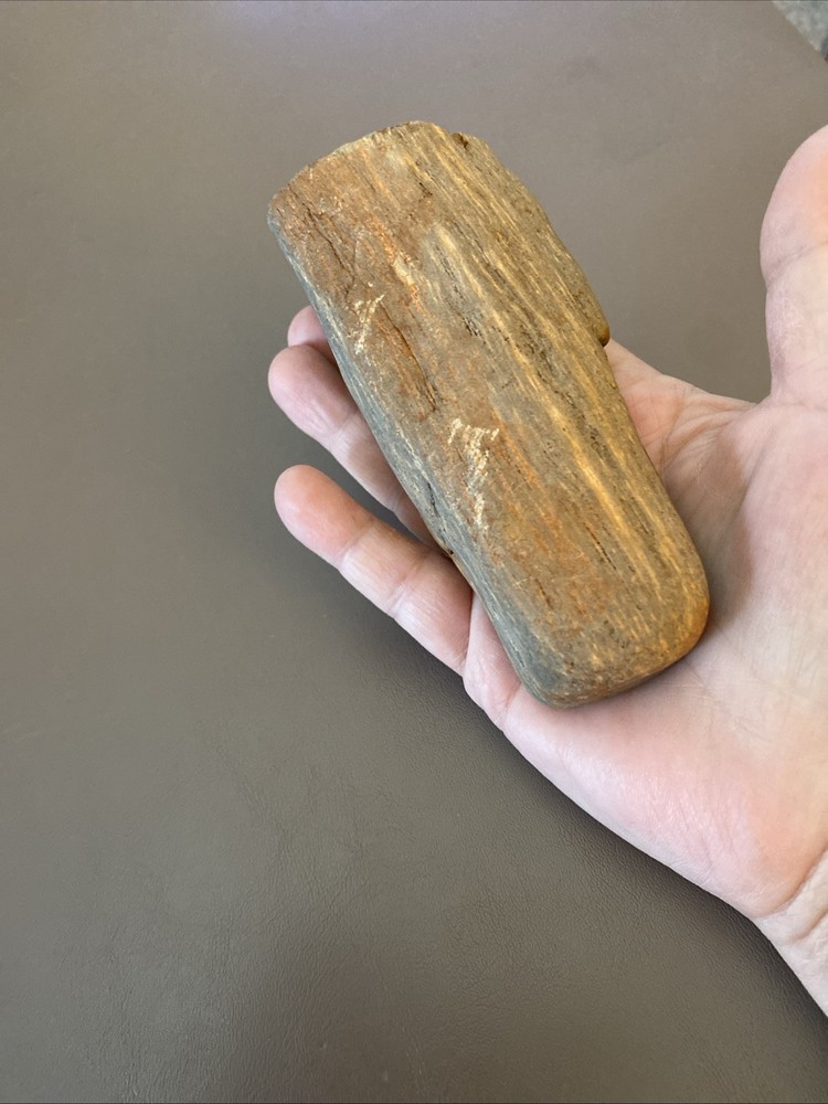 Petrified Wood