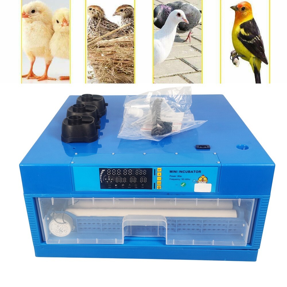 Egg Bird Incubator Automatic 64 Egg Turning Poultry Hatcher Breeder Intelligence