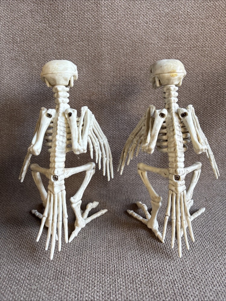 Two Halloween Crow Skeleton Tabletop Bird Bones Decoration