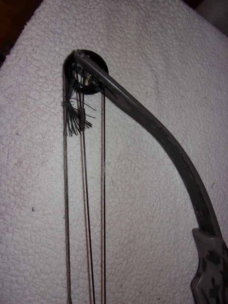 Ben Pearson Compound Bow