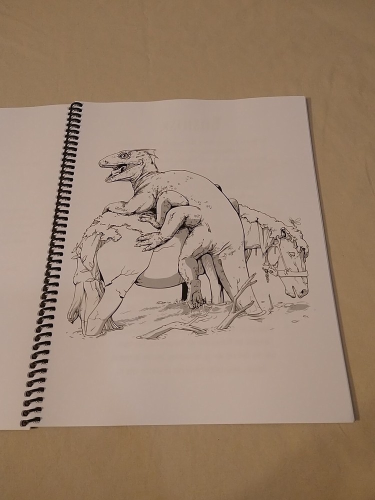 Dungeons and Dragons Coloring Book