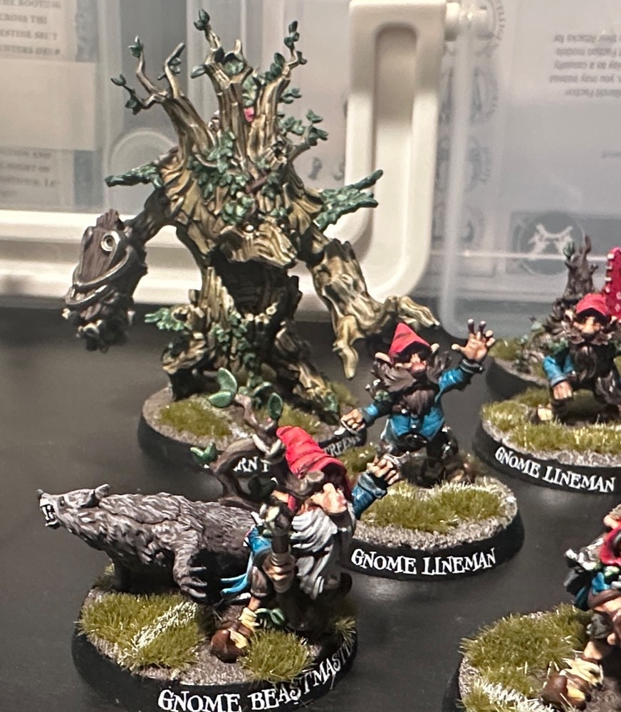 Blood Bowl Gnomes Glimdwarrow Groundhogs - Fully Painted