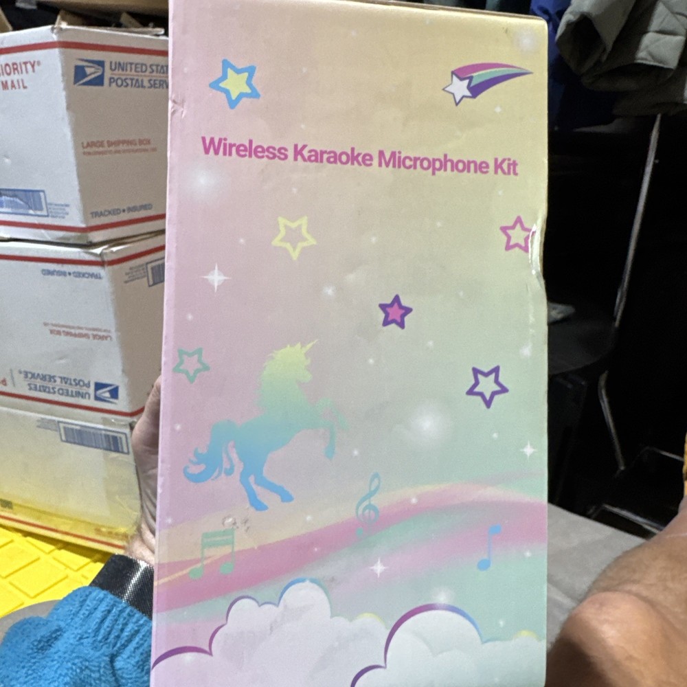 Wernnsaai Wireless Karaoke Microphone Kit