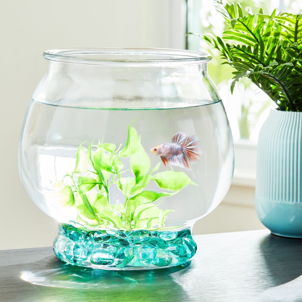 Footed Glass Fishbowl 1 Gallon