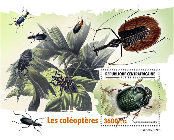 Beetles