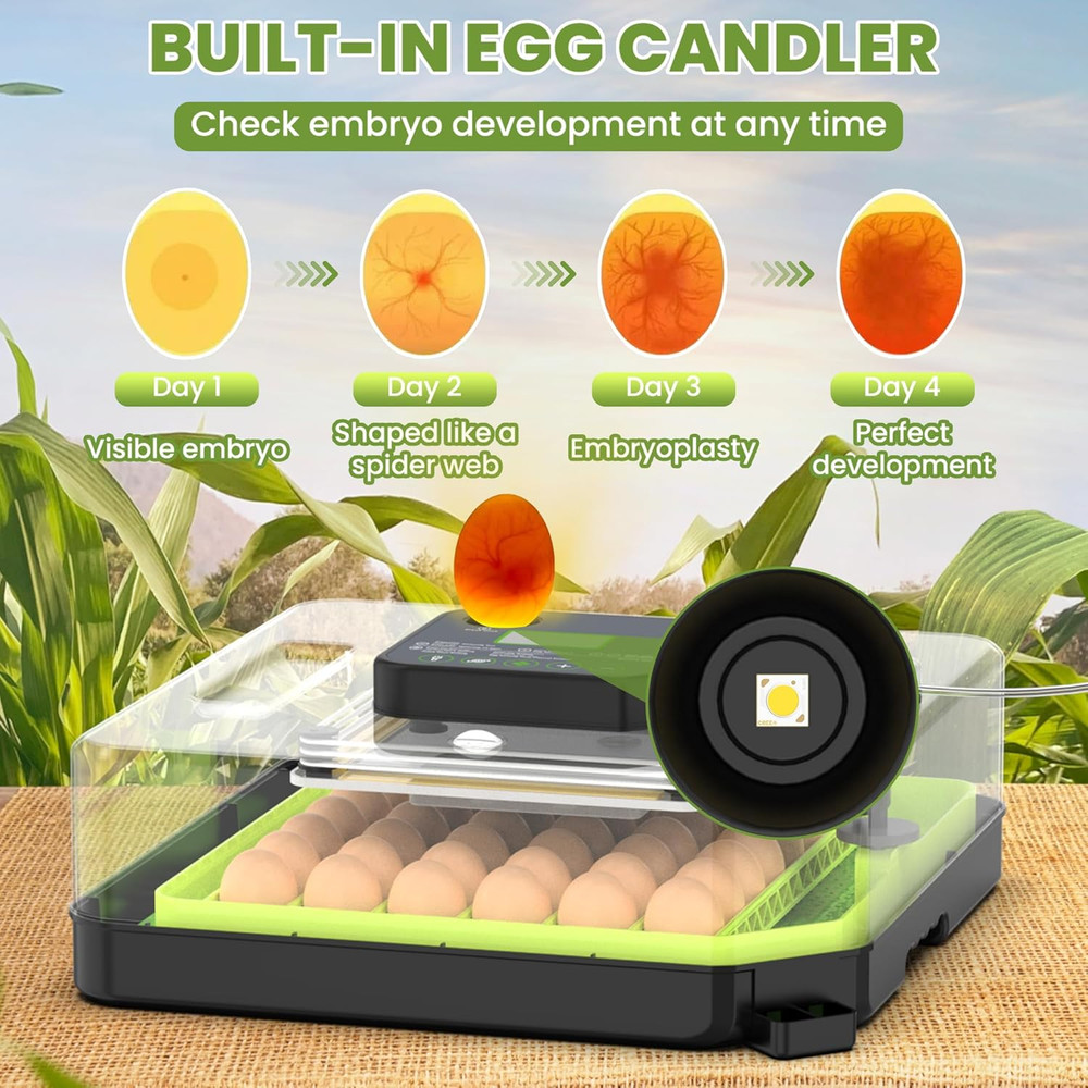 48 Egg Incubator for Hatching Eggs with Automatic Egg Turning, Temperature & Hum